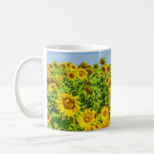 Sunflower field, summer sunny day. coffee mug