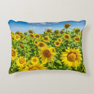 Sunflower field, summer sunny day. decorative cushion
