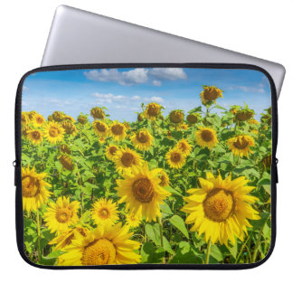 Sunflower field, summer sunny day. laptop sleeve