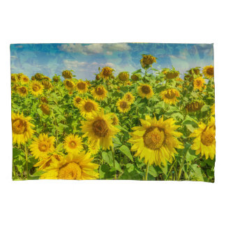 Sunflower field, summer sunny day. pillowcase