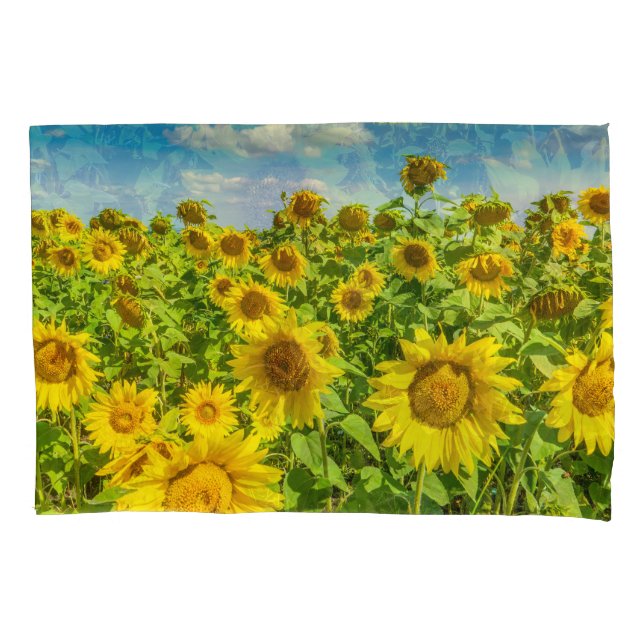 Sunflower field, summer sunny day. pillowcase (Front)