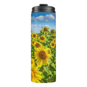 Sunflower field, summer sunny day. thermal tumbler
