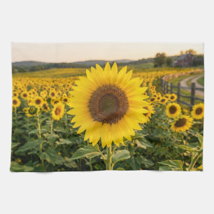 Sunflower Field Tea Towel