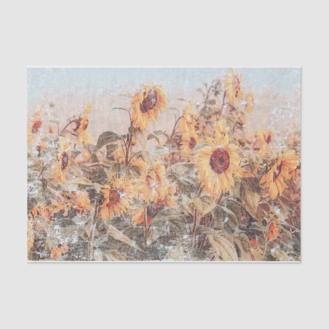 Sunflower Field Vintage Antique Autumn Texture Tissue Paper (Front)