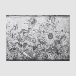 Sunflower Field Vintage Black And White Decoupage Tissue Paper