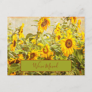 Sunflower Field Vintage We'ved Moved Yellow Moving Postcard