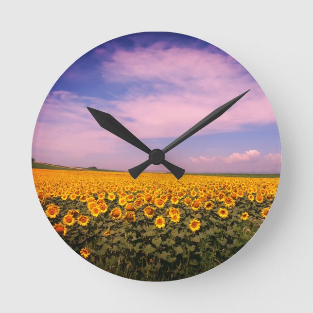 Sunflower Field Wall Clock (Front)