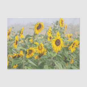 Sunflower Field Yellow Green Beautiful Decoupage Tissue Paper