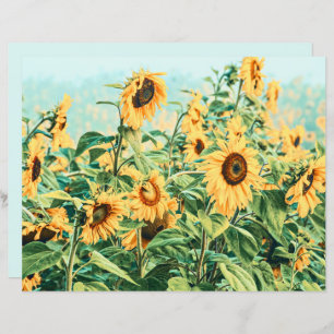 Sunflower Field Yellow Teal Decoupage Floral Art