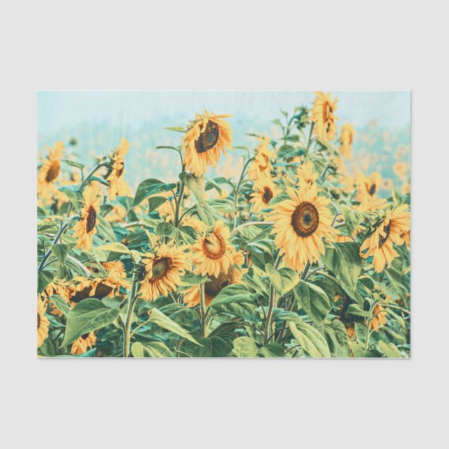 Sunflower Field Yellow Teal Floral Decoupage Art Tissue Paper (Front)