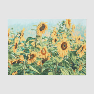 Sunflower Field Yellow Teal Floral Decoupage Art Tissue Paper