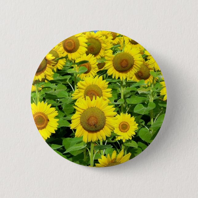 Sunflower Fields 6 Cm Round Badge (Front)