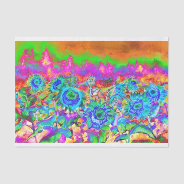 Sunflower fields _ blue tissue paper (Front)