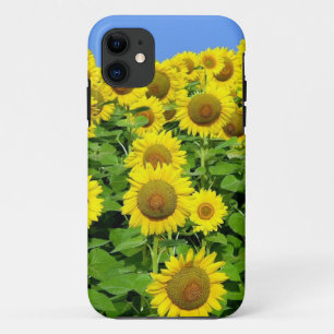 Sunflower Fields iPhone 11 Case