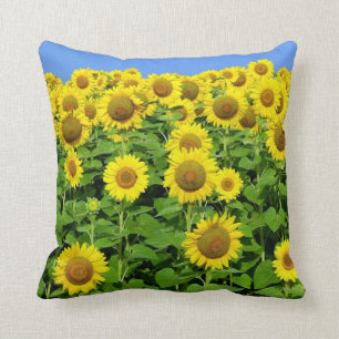 Sunflower Fields Cushion