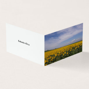 Sunflower Fields Folded Card