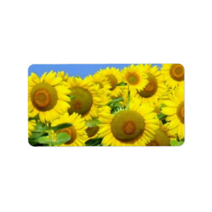 Sunflower Fields Label