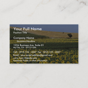 Sunflower fields, Tuscany, Italy Business Card