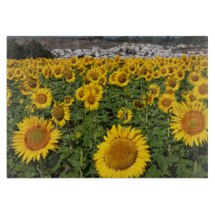 Sunflower fields, white hill town of Bornos Cutting Board