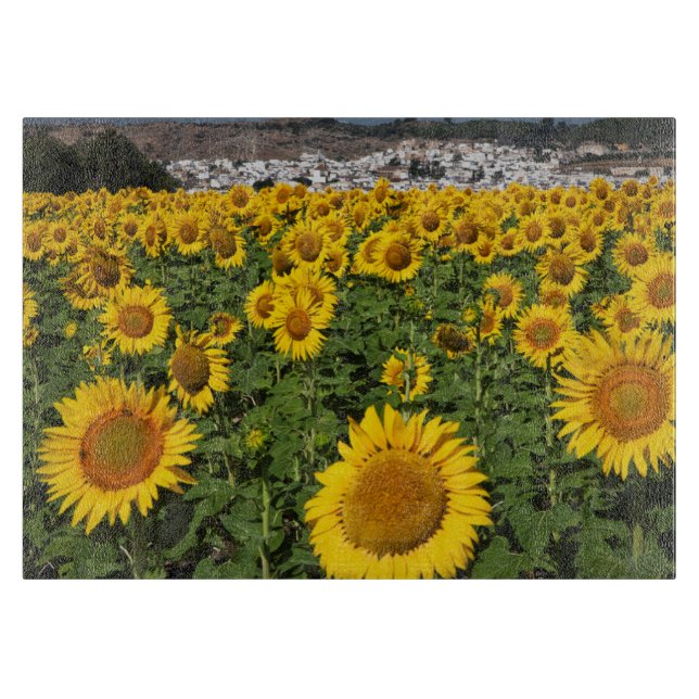 Sunflower fields, white hill town of Bornos Cutting Board (Front)