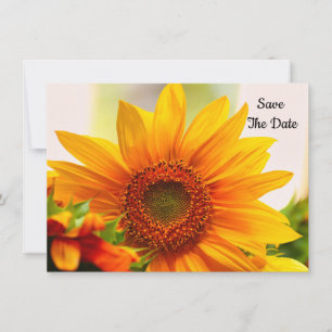 Sunflower Flat Save The Date Card