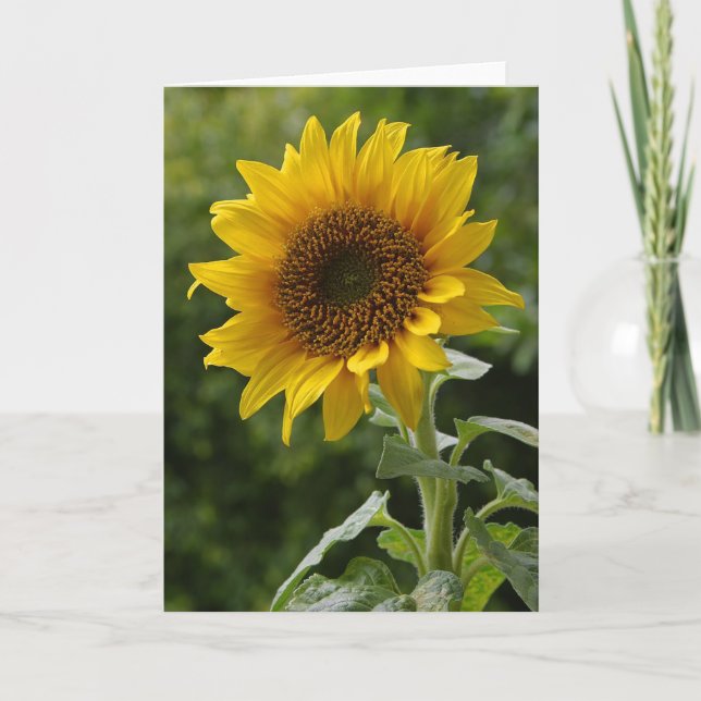 Sunflower Floral Blank Note Card (Front)