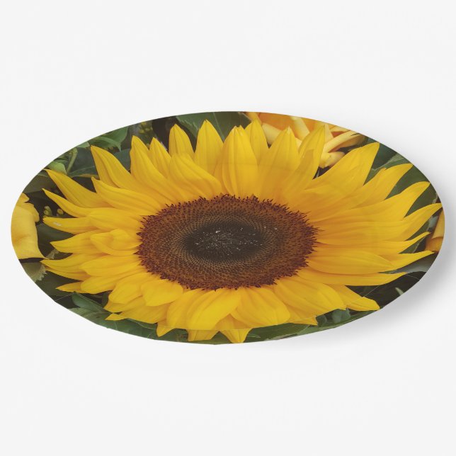 Sunflower Flower Floral Photography Plates (Angled)