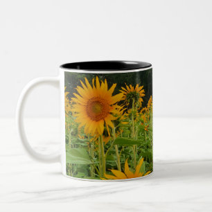 Sunflower flower Two-Tone coffee mug