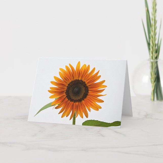 Sunflower Folded Greeting Card (Front)