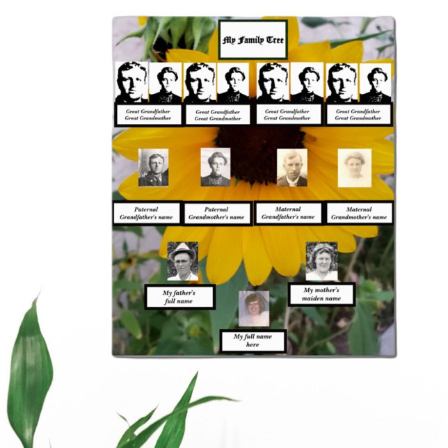 Sunflower Four-Generation Family Tree Photos Poster (Creator Uploaded)