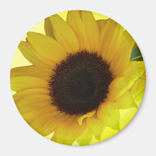 Sunflower Fridge Magnet Cheerful Flower Gift