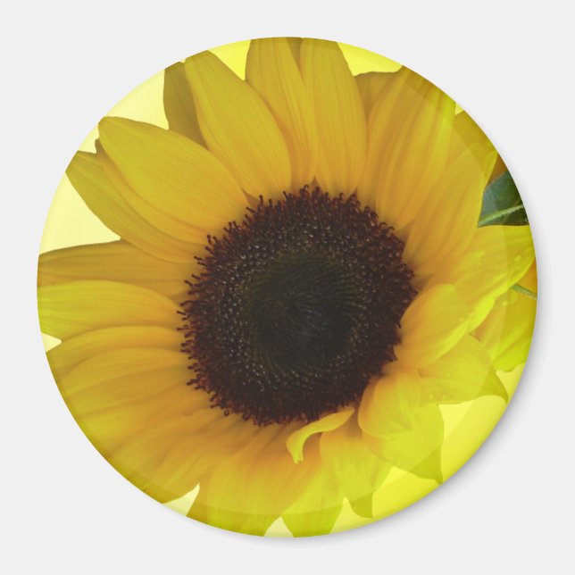 Sunflower Fridge Magnet Cheerful Flower Gift (Front)