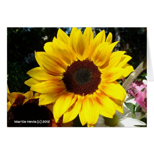 Sunflower & Friends Bouquet (Front Horizontal)