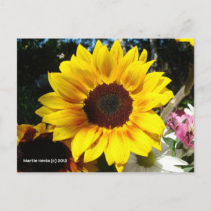 Sunflower & Friends Bouquet - Postcard