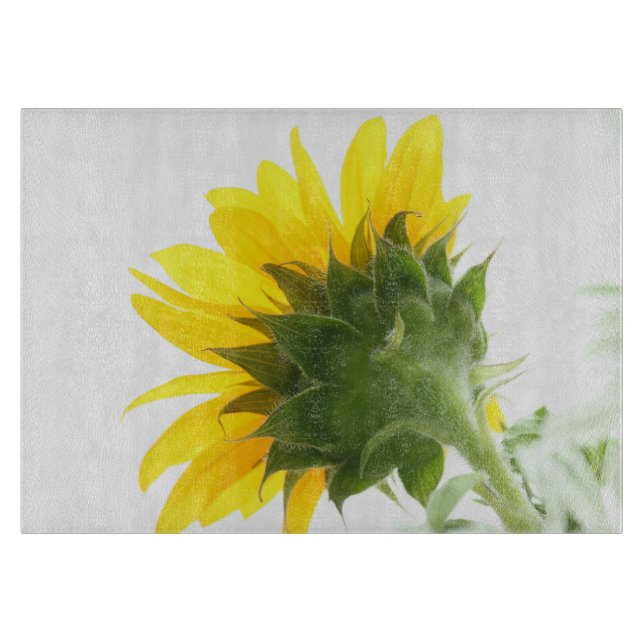 Sunflower Fuzz Glass Cutting Board (Front)