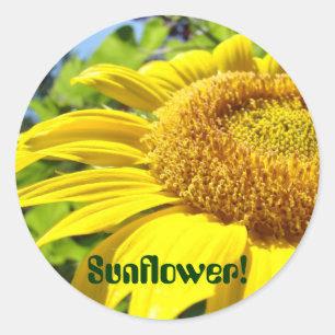 Sunflower garden stickers Summer Flowers Yellow