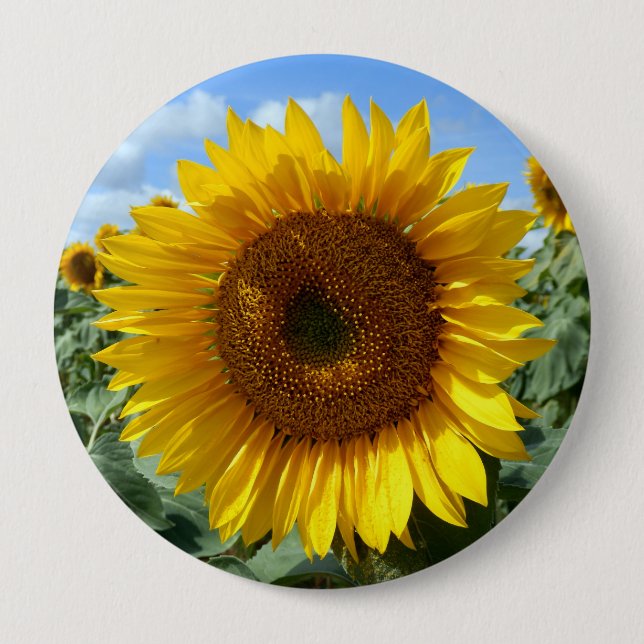 Sunflower Giant Badge (Front)