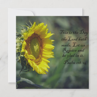 Sunflower Glory