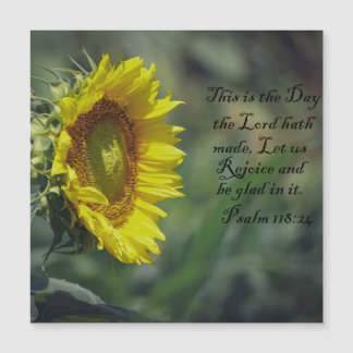 Sunflower Glory