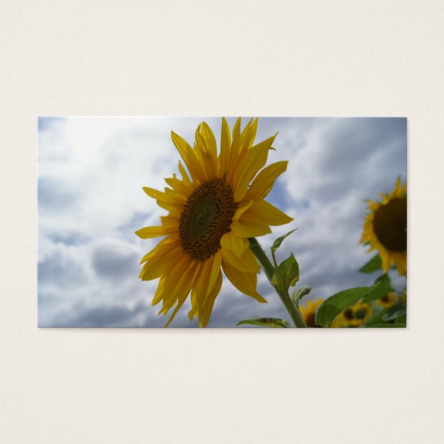 Sunflower Glory Business Card (Front)