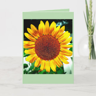 Sunflower Glory Card