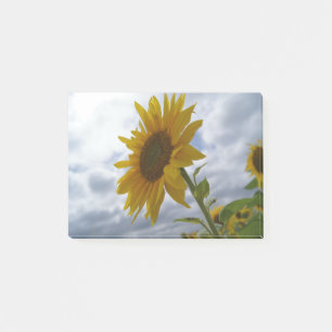 Sunflower Glory Post-it Notes
