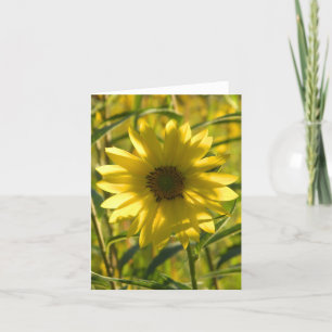 Sunflower Glow Greeting Card