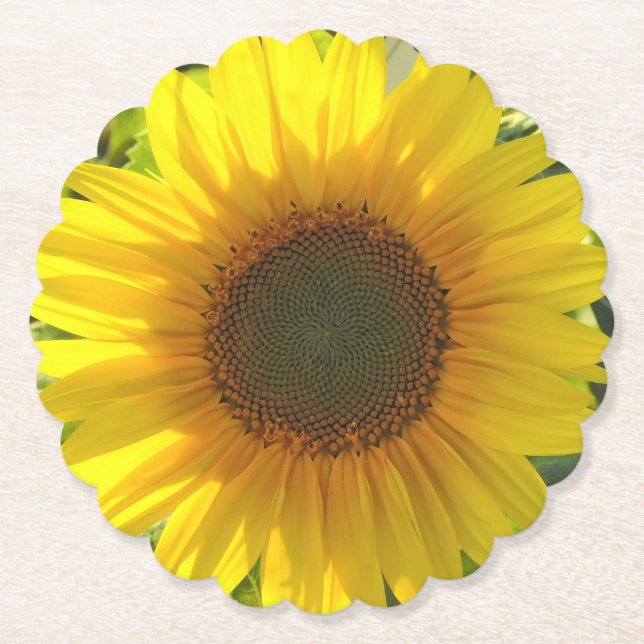 Sunflower Glow Paper Coaster (Front)