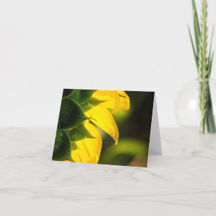 Sunflower Glowing Folded Thank You Card
