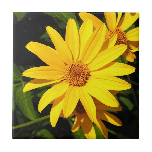 Sunflower Gold Decorative Tile (Front)