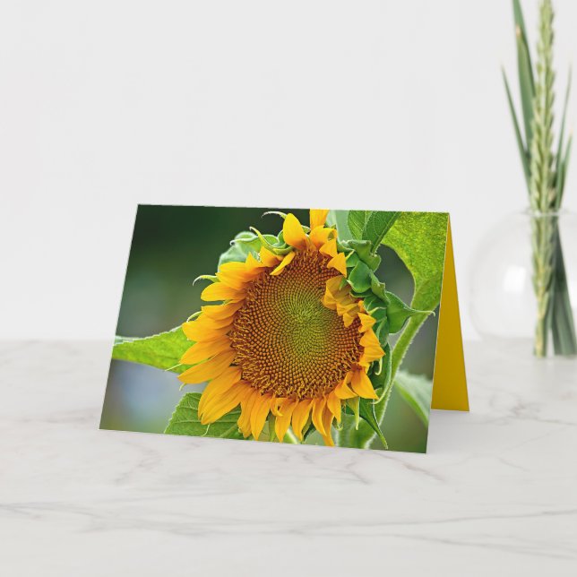 Sunflower Greeting Card (Front)