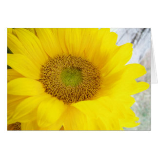 Horizontal Sunflower Anniversary Cards, Horizontal Sunflower ...