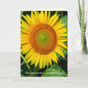 Sunflower：Greeting Card