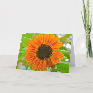 Sunflower Greeting Card